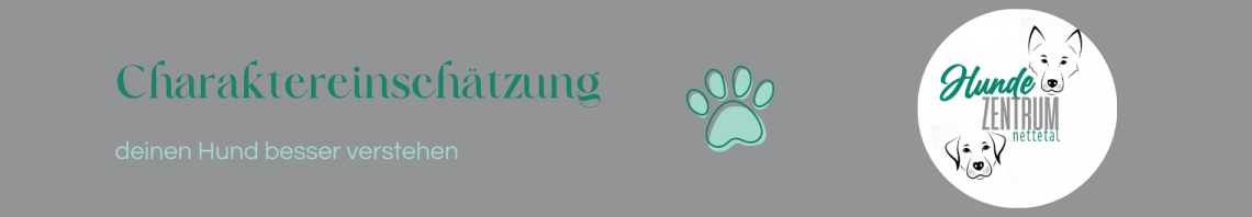 Charaktereinschätzung