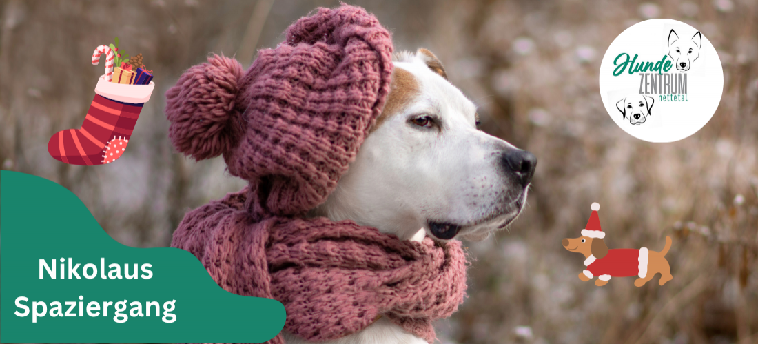 Nikolauswanderung