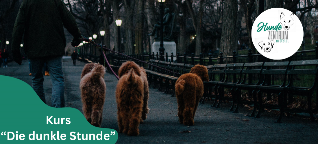 Kurs Die dunkle Stunde
