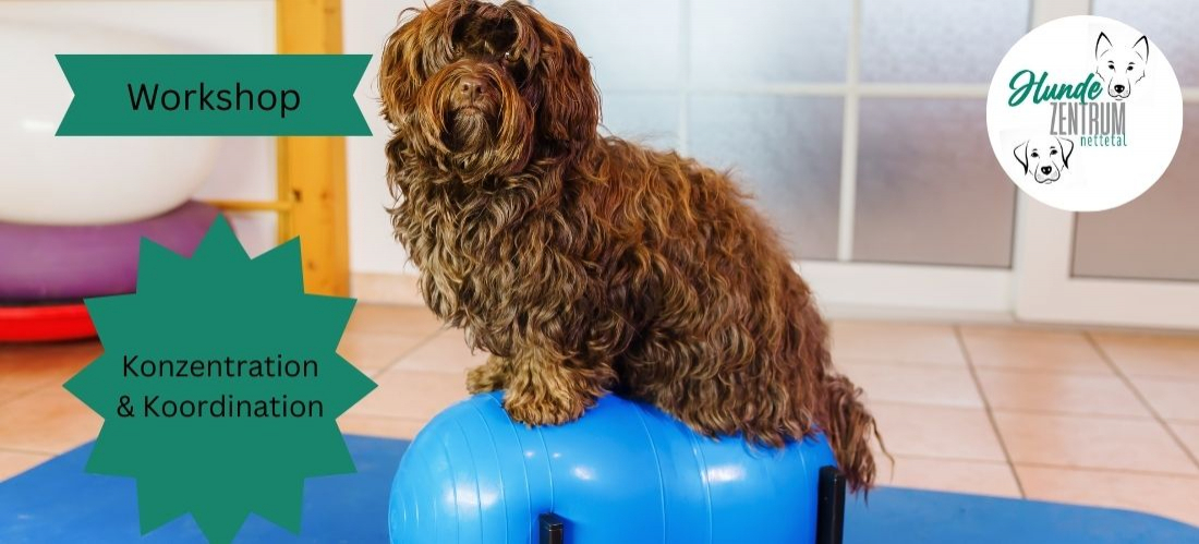 Praxisworkshop Konzentration und Koordination