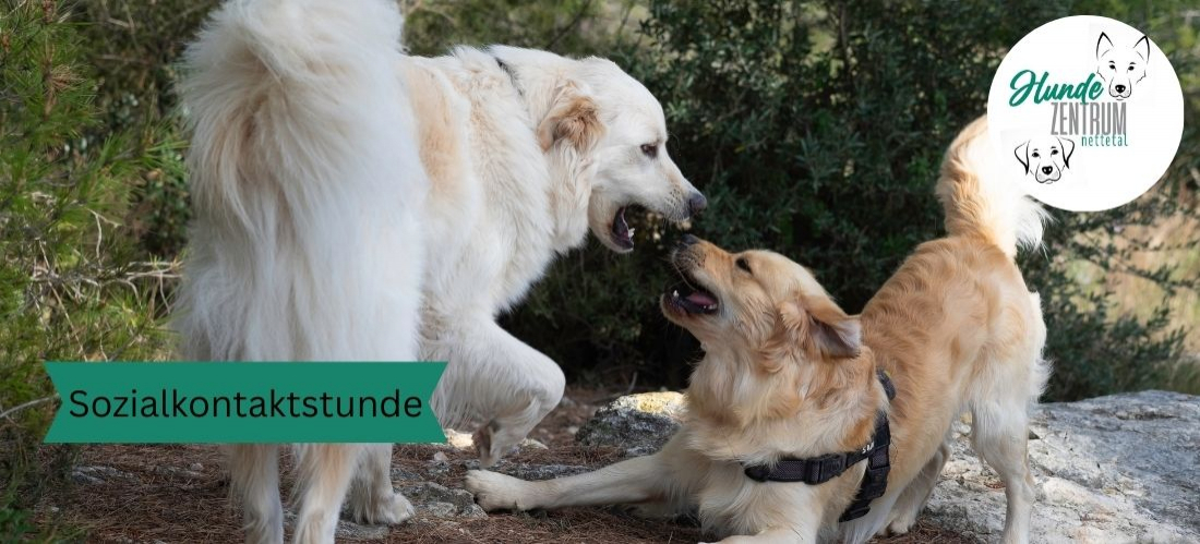 Gruppe Sozialkontaktstunde