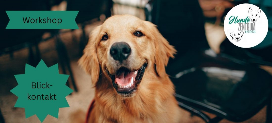 Praxisworkshop Blickkontakt