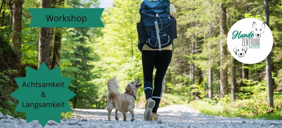 Praxisworkshop Achtsamkeit & Langsamkeit