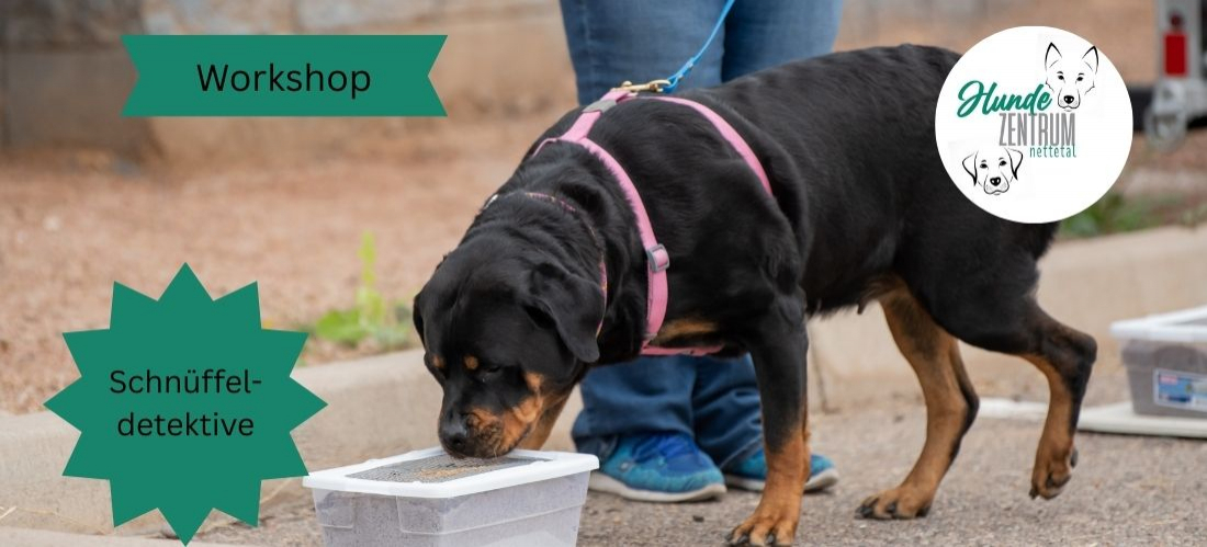 Praxisworkshop Schnüffeldetektive