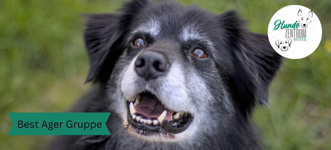 Gruppe Best Ager 