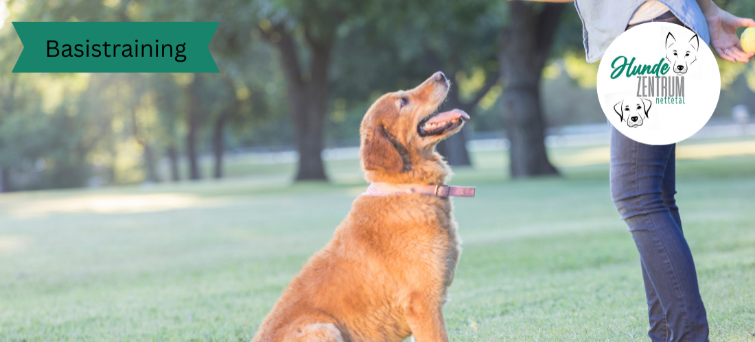 Kurs Teamtraining Grundkurs