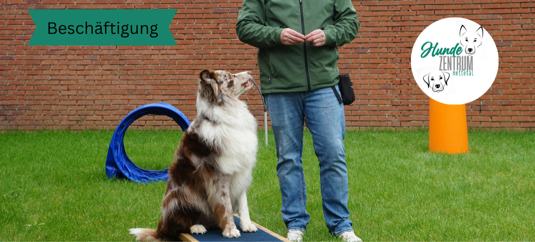 Gruppe Beschäftigung – für Kopf, Körper & Spaß