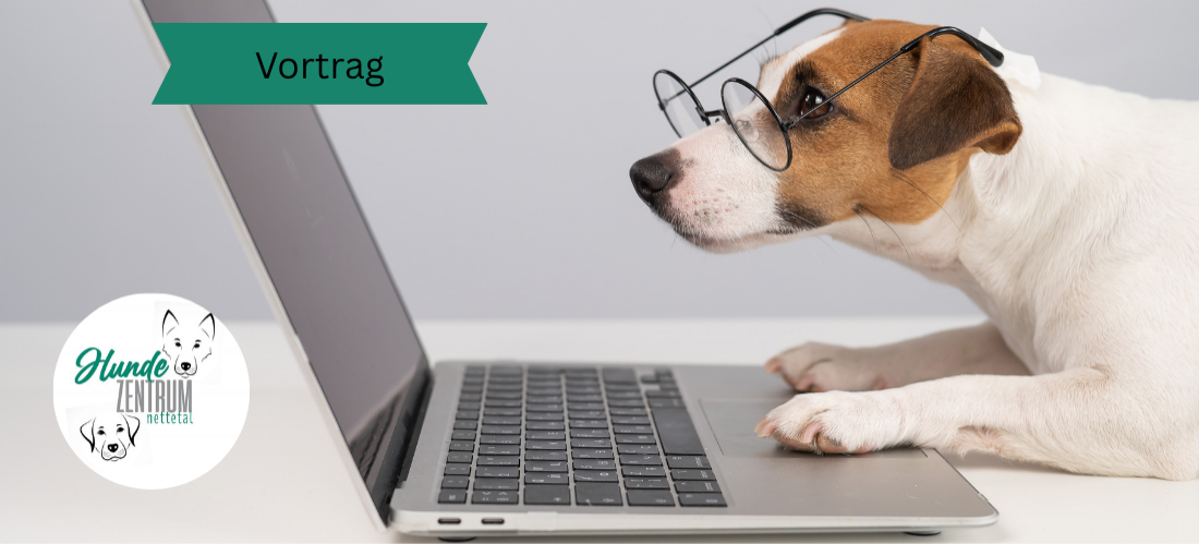 Vortrag Körpersprache des Hundes