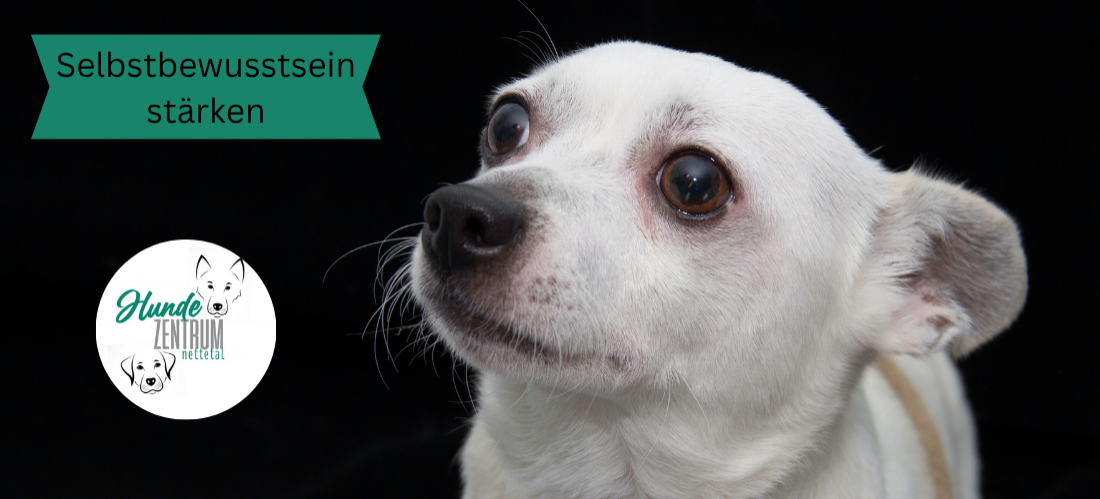 Gruppe Selbstbewusstsein stärken – für mehr Sicherheit im Alltag