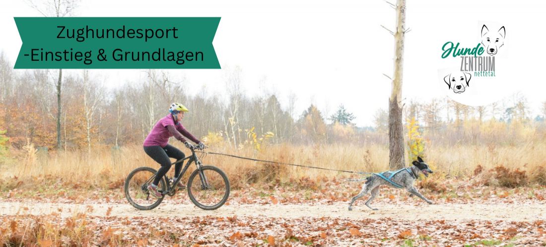 Gruppe Zughundesport - Einstieg & Grundlagen