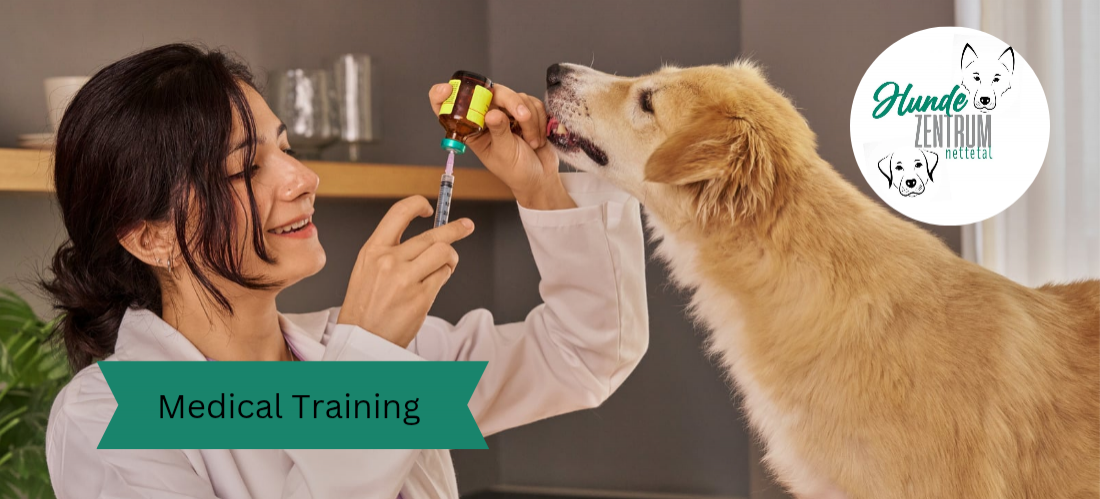 Kurs Medical Training – Entspannt beim Tierarzt