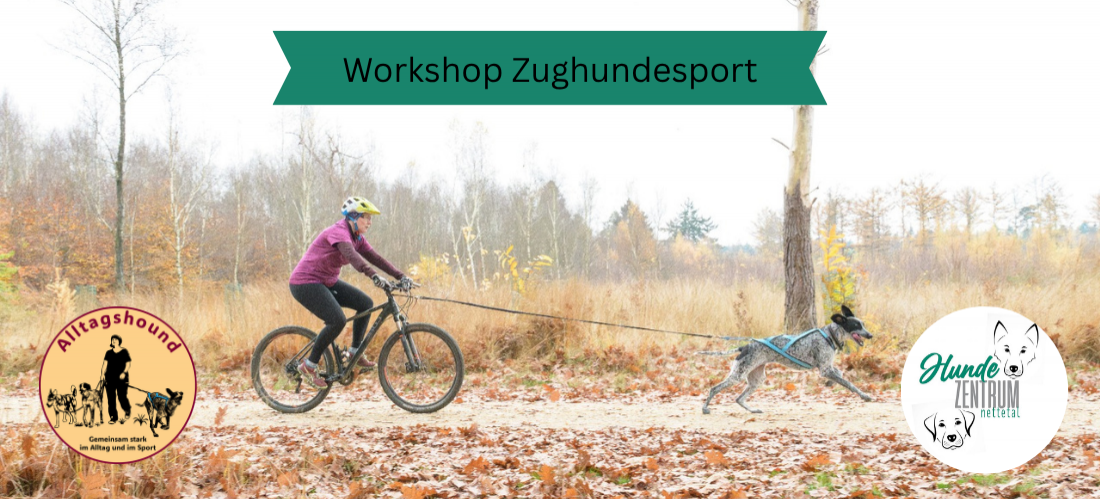 Zughundeworkshop