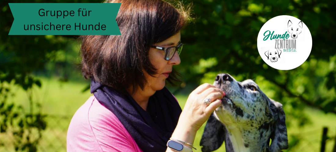 Gruppe für unsichere Hunde