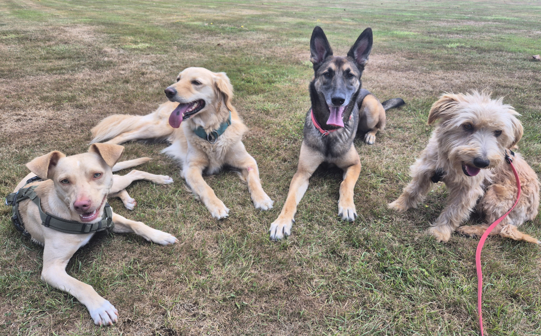 Gruppe Basistraining