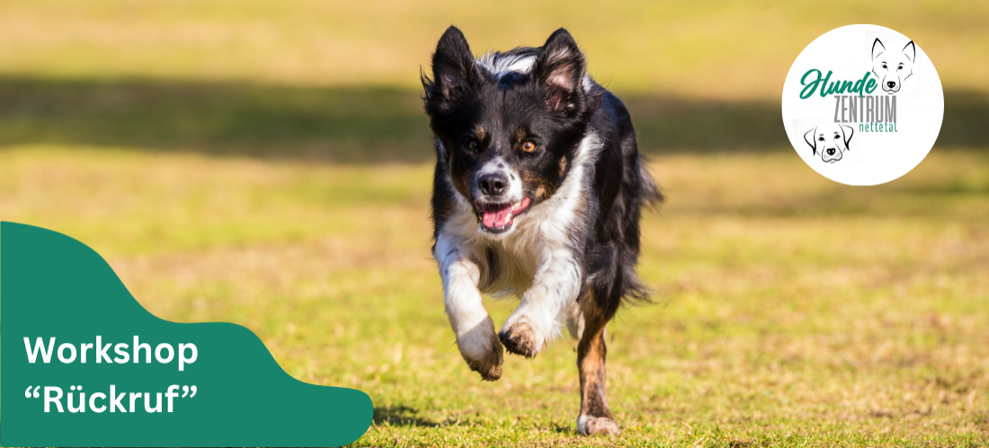 Praxisworkshop Rückruf