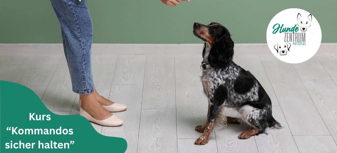 Kurs Kommandos sicher halten