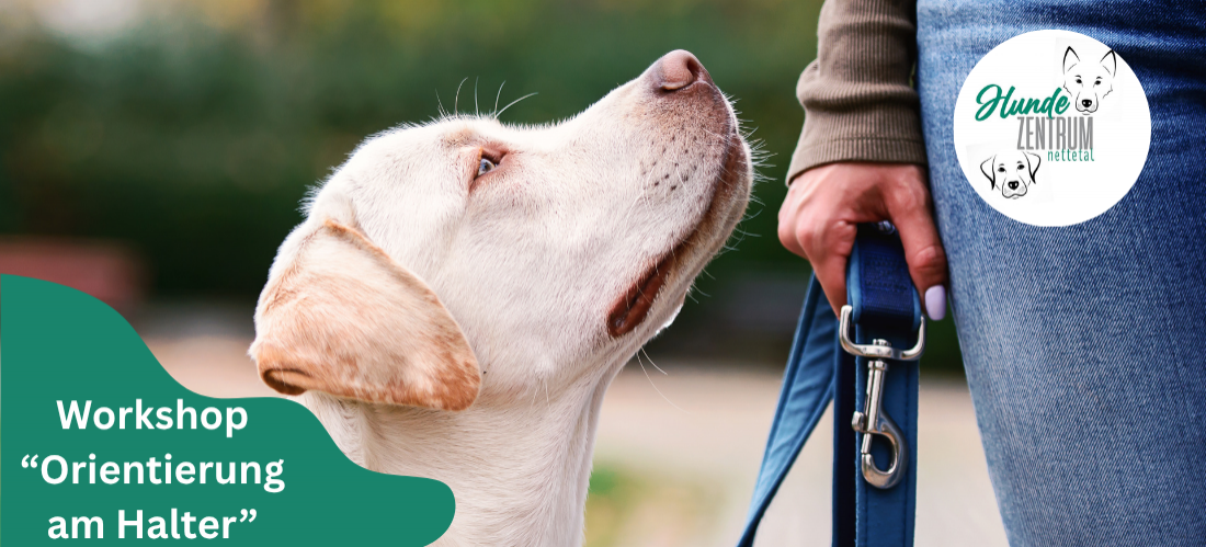 Praxisworkshop Orientierung am Halter