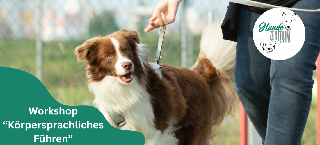 Praxisworkshop körpersprachliches Führen