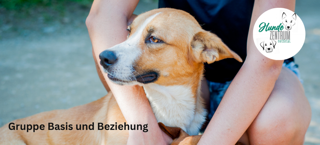 Gruppe Basis und Beziehung